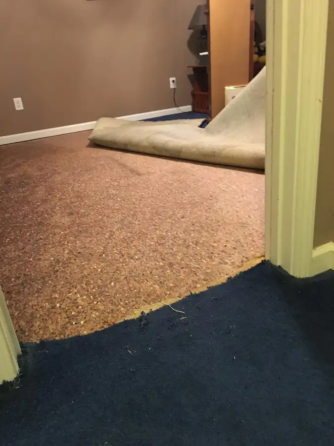 Carpet pad removal revealing water damage during Drying & Dehumidification in Euless