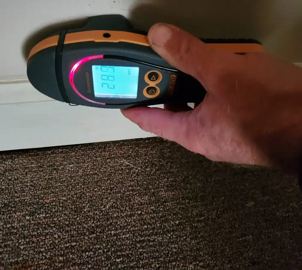 Moisture detection at baseboard during Sewage Cleanup & Sanitation in Euless